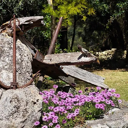 Вілла Porqueres *